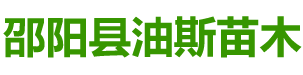 邵阳县油斯苗木专业合作社_邵阳县苗木种植基地|邵阳树苗种植|大叶樟